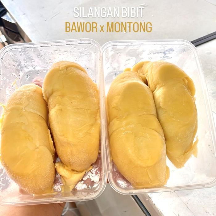 Durian Bawor Premium / Durian King Bawor Kupas