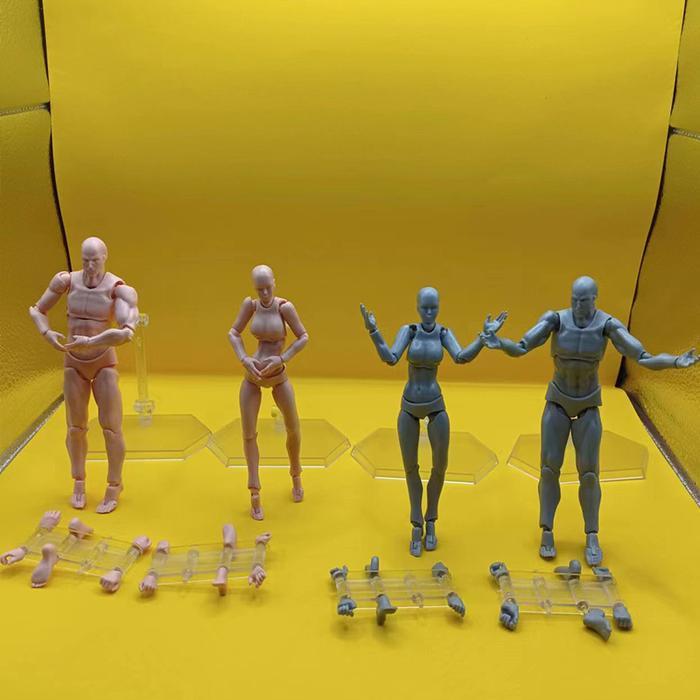 READY Figuart Body Kun / SHF Body Kun / Action Figure Model Male Female Body Archetype Model