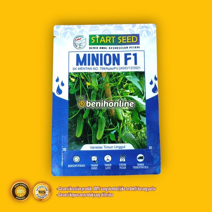 MINION F1 benih timun unggul start seed timun baby lalap