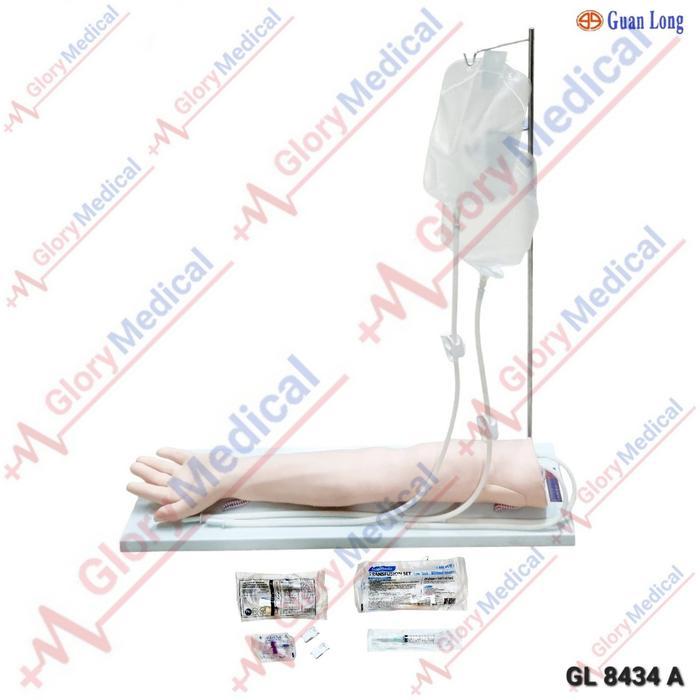 Phanton Manikin Lengan Infus/Set Alat Peraga Manekin Guan Long GL-8434A