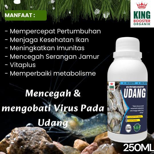 TERLARIS Nutrisi Vitamin Probiotik Udang Vaname Pakan Udang 250ml - Terlaris & Terbaik
