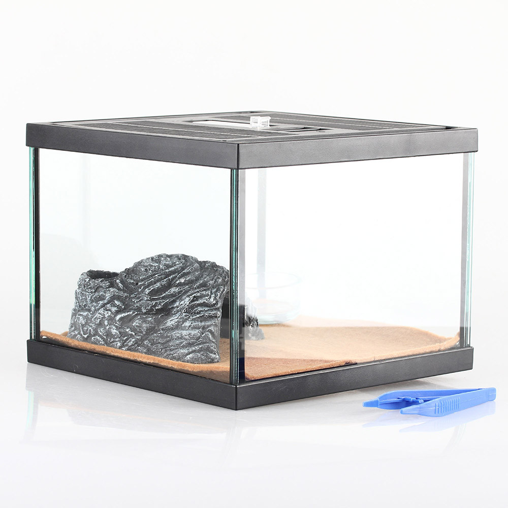 Reptile Kit Spider Box Frog House Tarantula Container Gecko Habitat Small Animal Cage Tortoise Snail