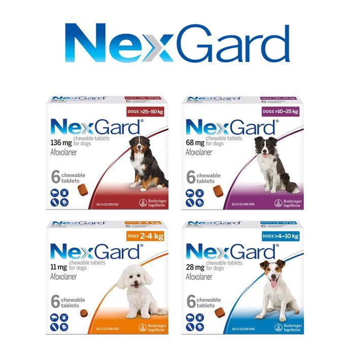 TERLARIS NexGard Dog Obat Kutu Anjing Nexgard Demodex Scabies