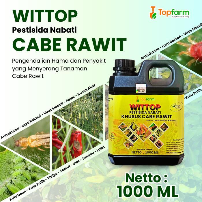 BERKUALITAS Obat Patek Cabe Rawit - Obat Cabe Rawit Keriting / Obat Cabe Rawit Rontok / Obat Cabe