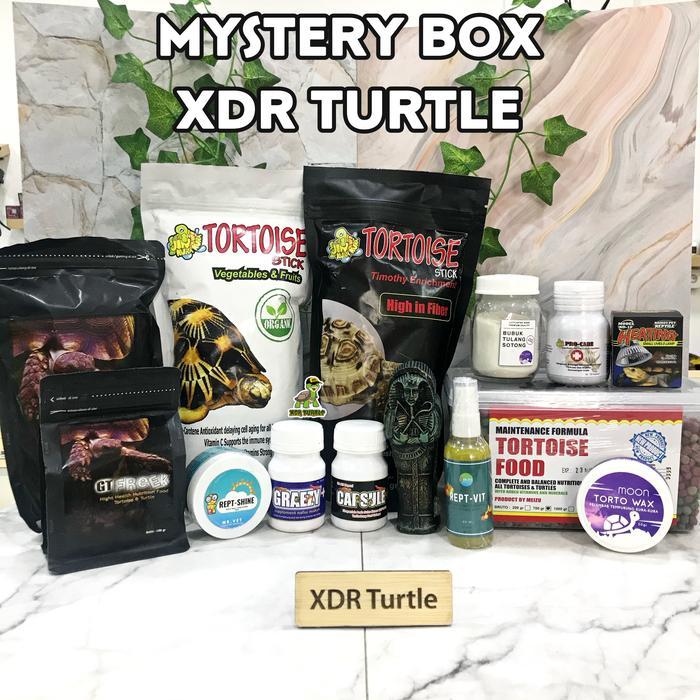 Viva - Promo Xdr Turtle Mystery Box Tortoise Kura Darat Edition Sulcata Istar