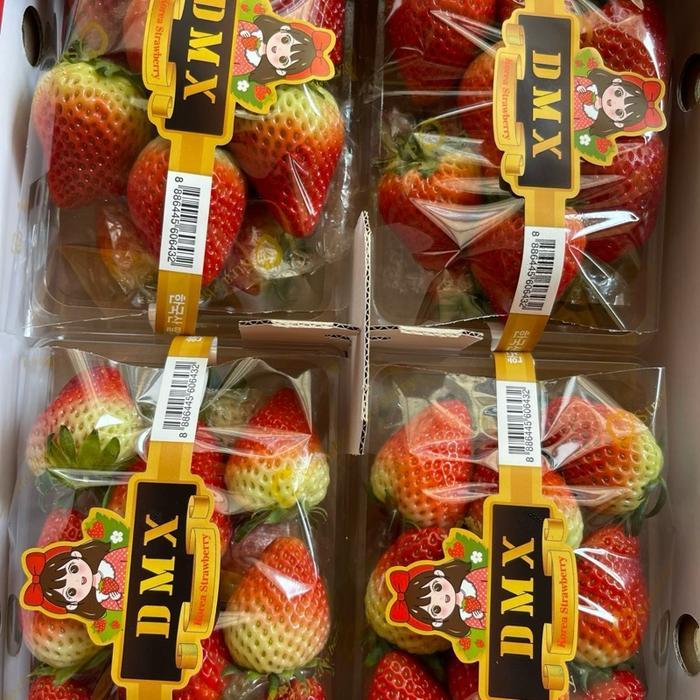 TERLARIS Strawberry korea strawbery korea strawberry korea premium