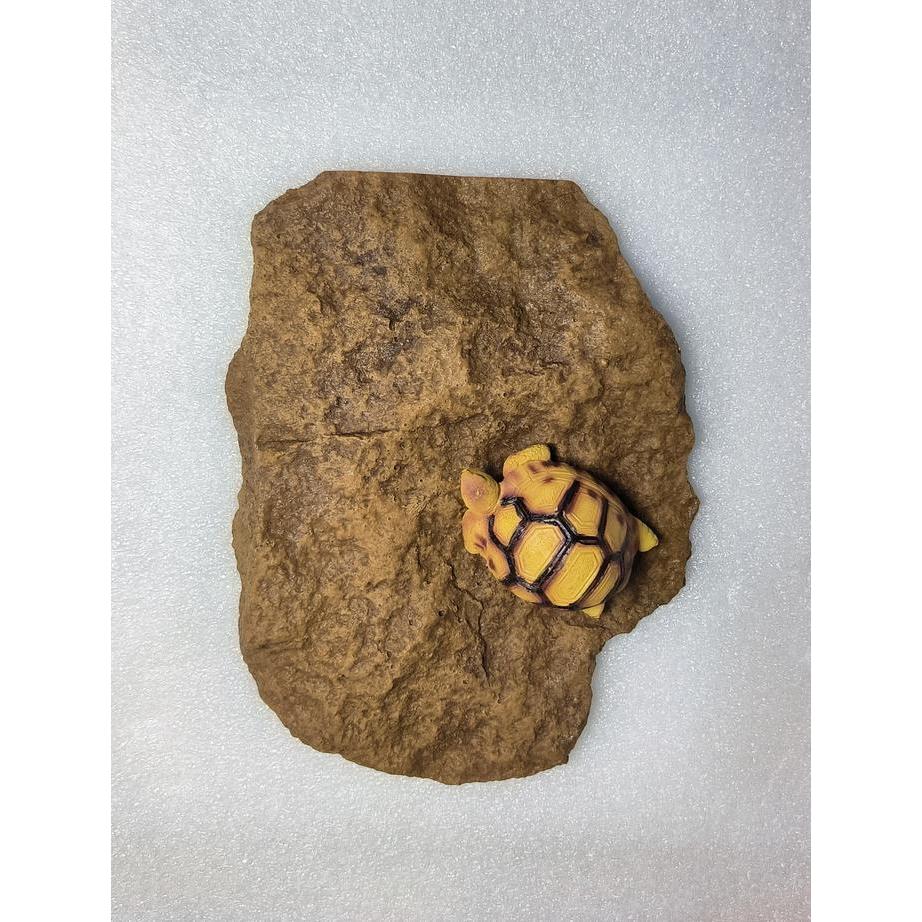 Basking Stone Medium ys 23cm x 17cm