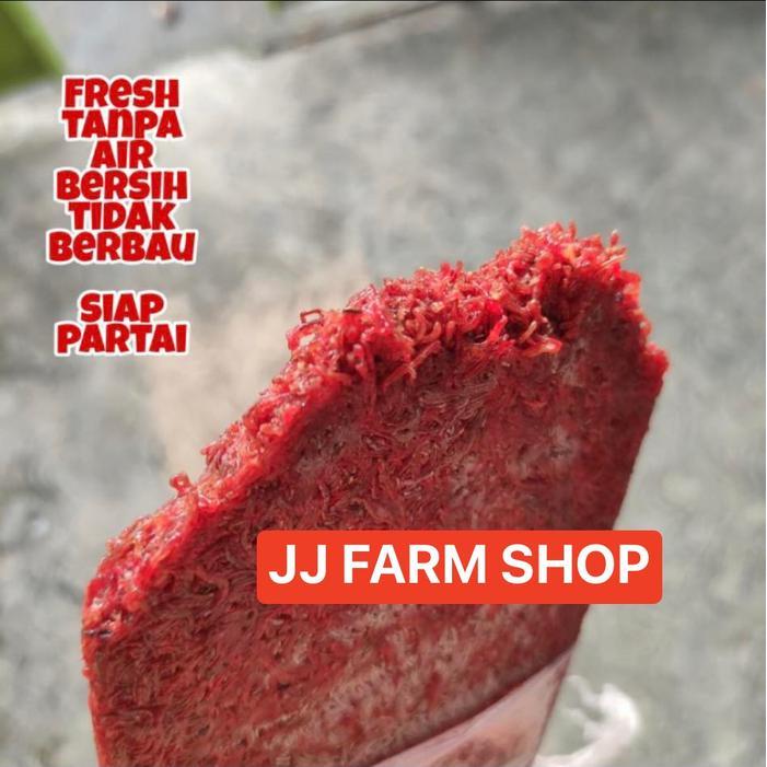 Cacing Beku Fresh Lempeng 1Kg Seger Kering Khusus Gojek & Grab Saja