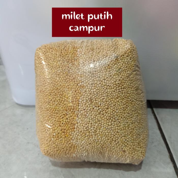 Milet millet - millet putih - pakan burung kiloan - makanan lovebird