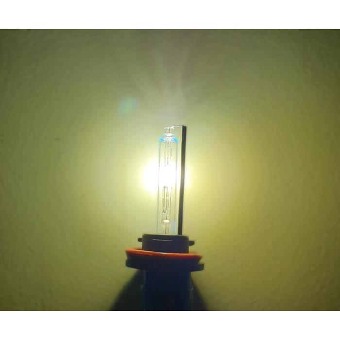 BOHLAM / BULB HID YEAKY LBS SERIES H11 - 35W 5500K