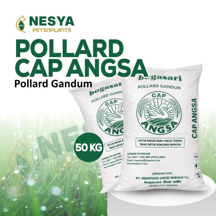 Pollard Gandum Cap Angsa 50 Kg Nutrisi Lengkap Polar Makanan Ternak