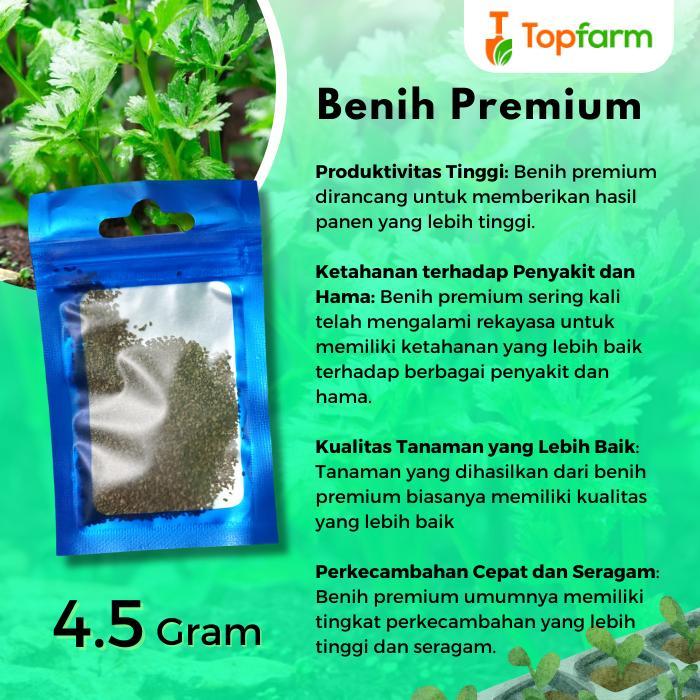 Shoptopiaa Benih Seledri Premium - Benih Seledri / Biji Seledri / Benih Tanaman Seledri / Benih