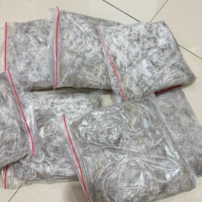 Ikan teri basah / Teri basah Mpasi / Ikan teri basah segar kemasan 500 gram
