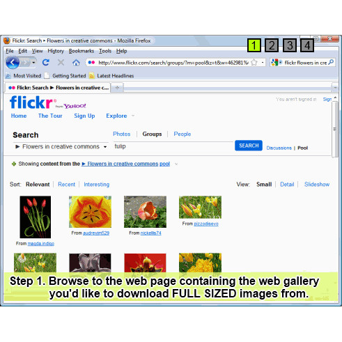 Bulk Image Downloader