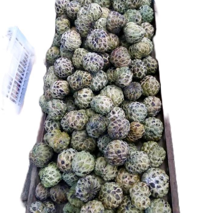 BUAH SRIKAYA 1KG BUAH LANGKA