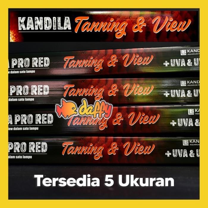Kandila Pro Red TANNING and VIEW 1000 lampu view tanning arowana