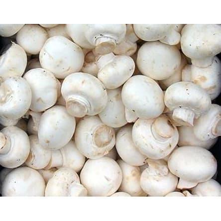 " Jamur Champignon / Jamur Kancing Fresh 1 kg