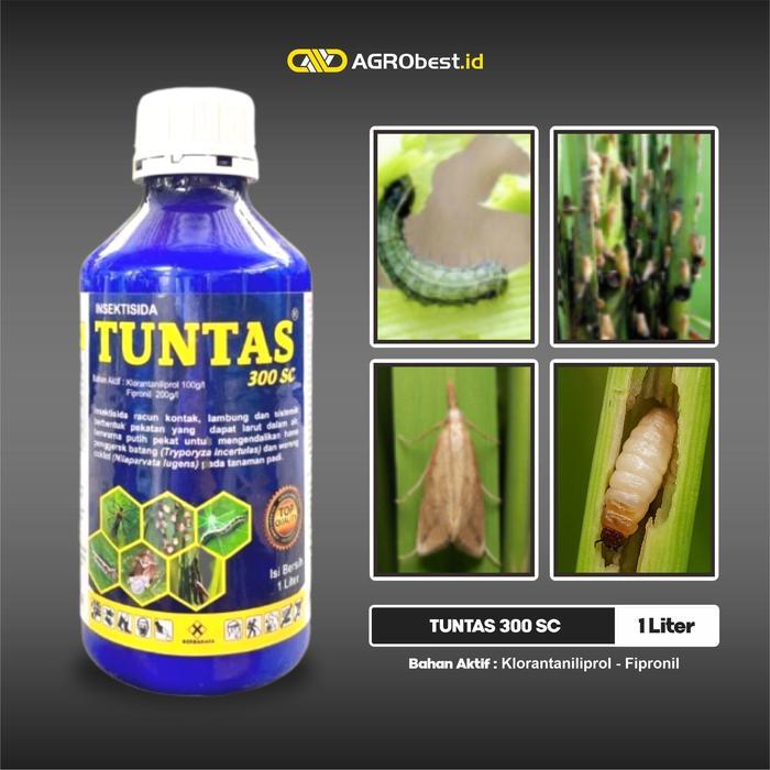 TUNTAS 300 SC 1 Liter Insektisida Ampuh Ulat Grayak Jagung Cabai Klorantraniliprol Fipronil Tuntas