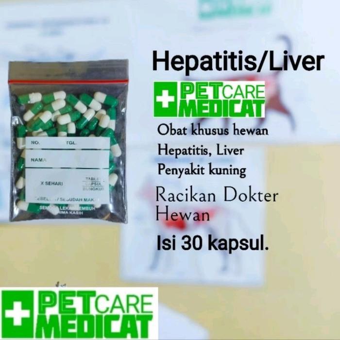 Obat Penyakit Kuning Kucing Dan Anjing Obat Hepatitis Liver Hewan Petcare Medicat Promo 