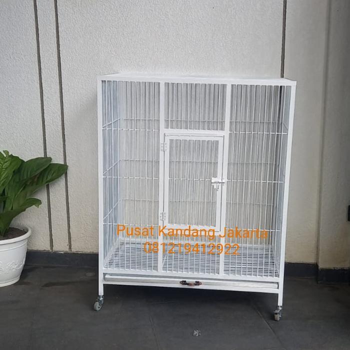 kandang burung besar macau