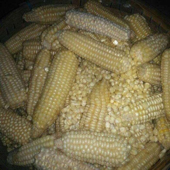 Jagung Putih Pipil Kering 250 Gram