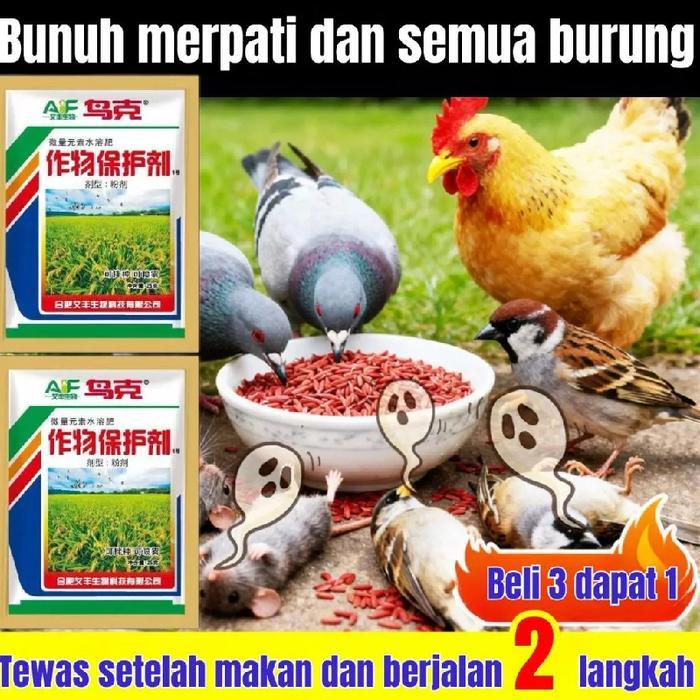 Pengusir burung di sawah racun burung pipit sawah alat obat burung boma desis pengusir hama 25g