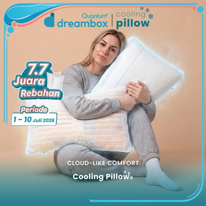 Quantum Dreambox Cooling Pillow / Bantal Dingin / Dual Comfort