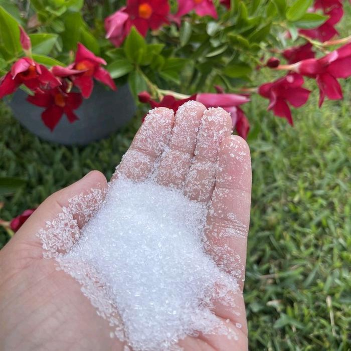 Terbaru Pupuk Urea Putih Kemasan 1 Kg / Pupuk Urea Penyubur Tanaman