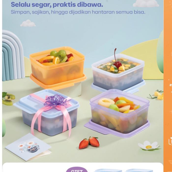 Tupperware small cozynest cozy nest kotak makan 3pcs