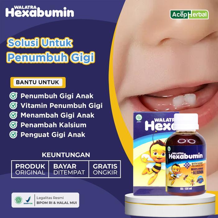 TERMURAH TERLARIS TERBARU HEXABUMIN KESEHATAN ANAK UNTUK PENUMBUH GIGI ANAK TERLAMBAT TUMBUH