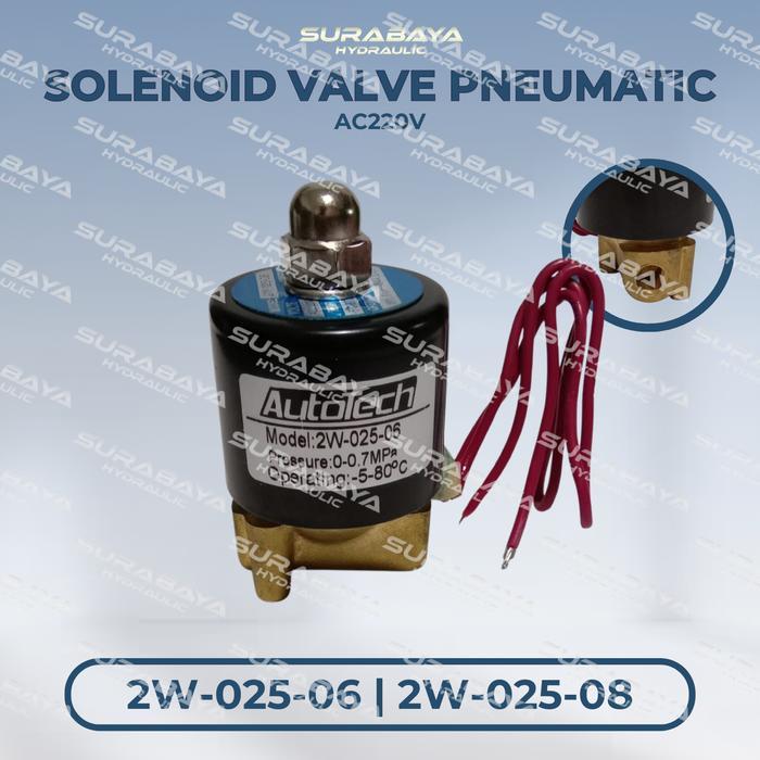 Denji Melody - 2W-025 Solenoid Valve 2W-025-06 2W-025-08 Pneumatic Ac220V Dc24V Ac 220 Dc 24 2W 25 2