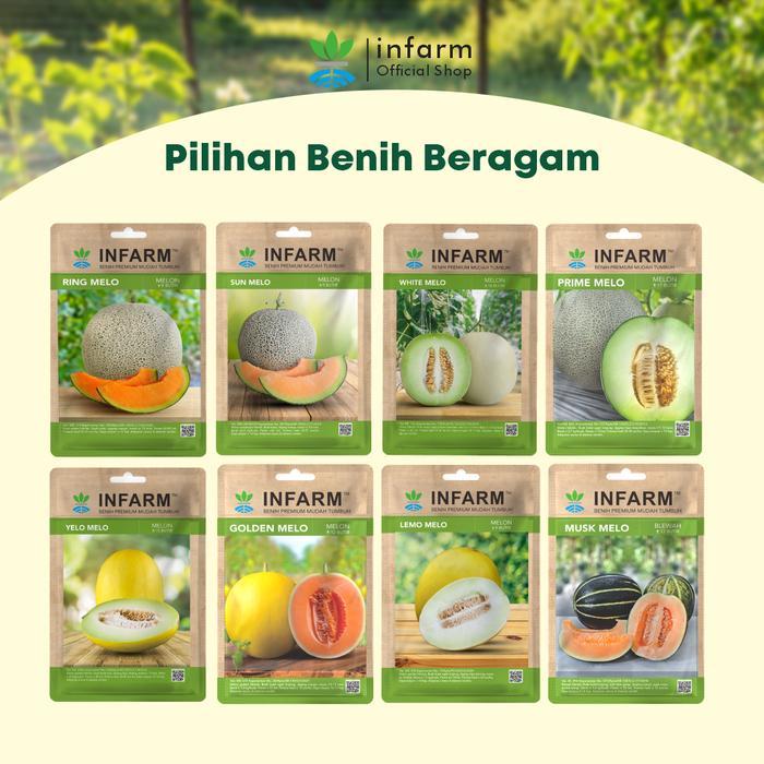 Infarm - Benih Buah Melon Ringmelo, Bibit Buah Melon Hibrida Biji Buah Melon Manis Premium