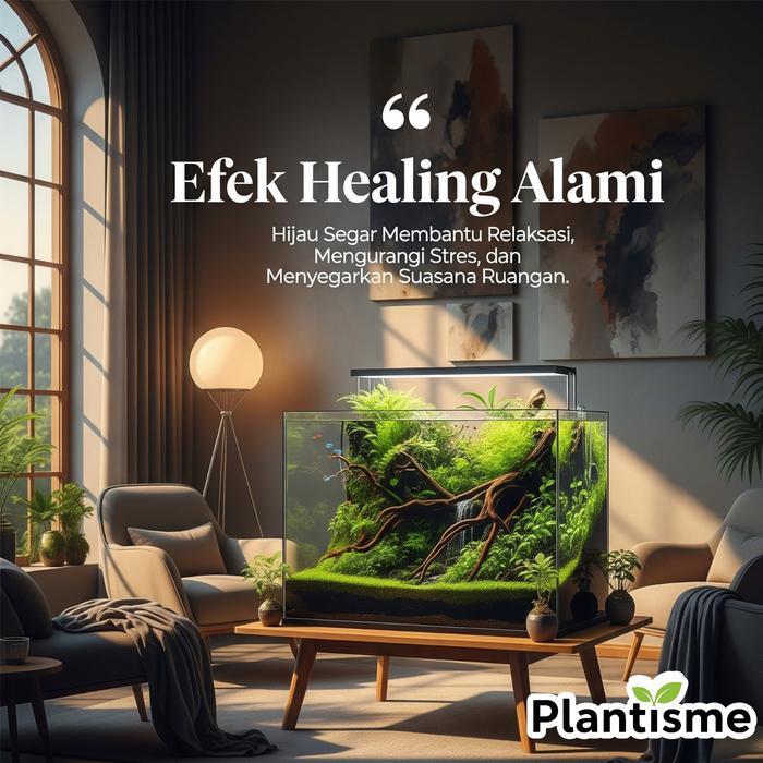 Paludarium - Fullset Aquarium Mini Waterfall Air Terjun Vivarium Terrarium Kaca Vertical Landscape