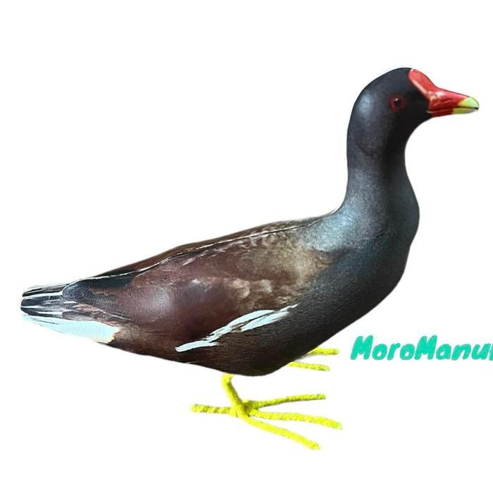 Jontrot Burung Mandar - Decoy Mandar Batu - alat pikat burung mandar