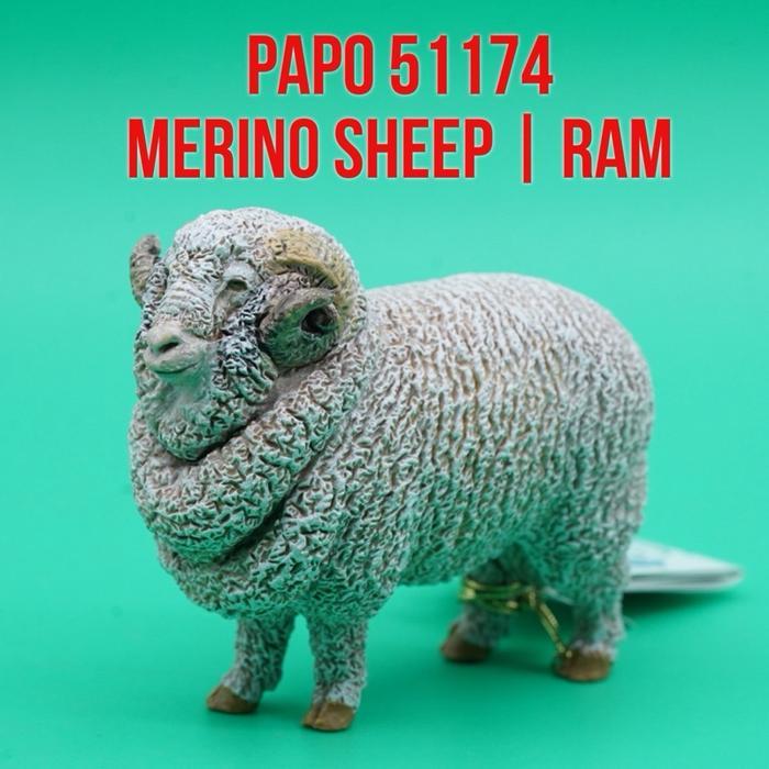 PAPO 51174 Merino Sheep Ram Domba Merino Jantan Biri Biri Ovis Aries Mainan Figure Binatang