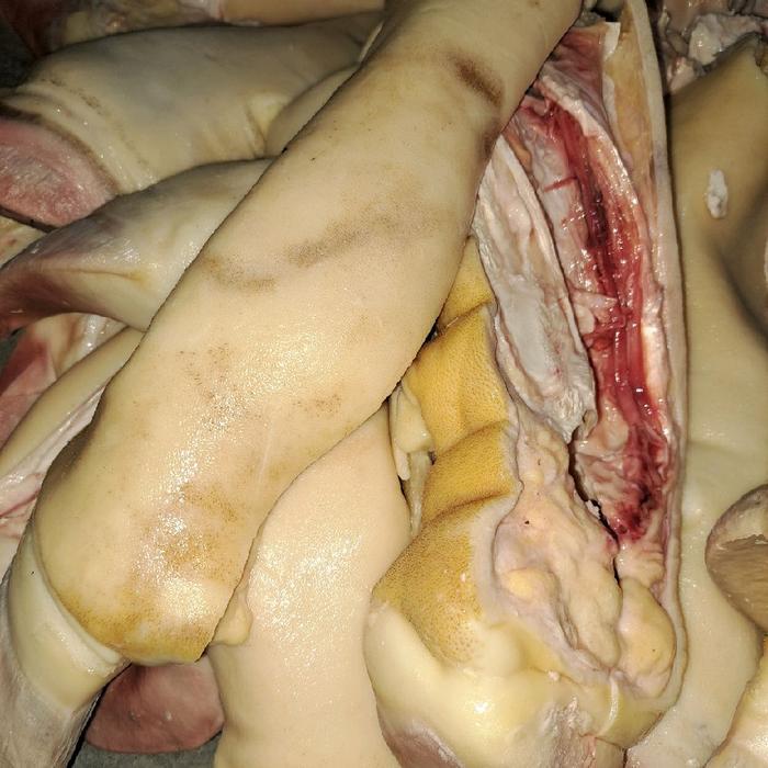 TERLARIS Kikil Tunjang Tanpa Tulang Besar Kikil kaki sapi tanpa tulang Besar tersisa tulang kuku 1kg
