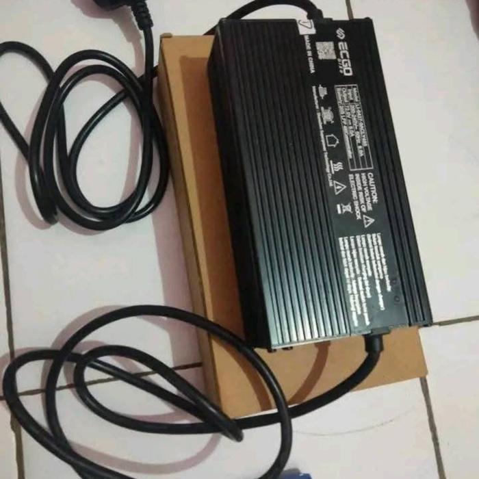 TERLARIS Fast Charging Motor Listrik ECGO 3
