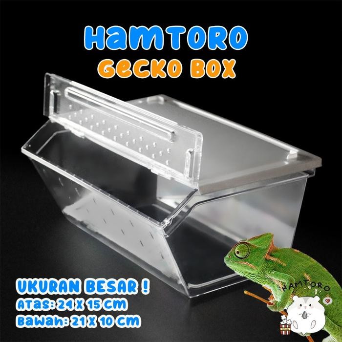 SALE Hamtoro Gecko Box H8 Kandang Besar Untuk Kadal, Kura-kura, Reptil box hamster