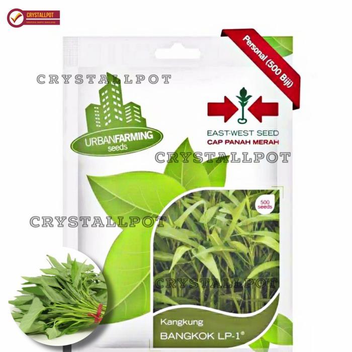 Tanamsegar- Benih Bibit Kangkung Bangkok Lp Cap Panah Merah - Kangkung Bangkok Lp