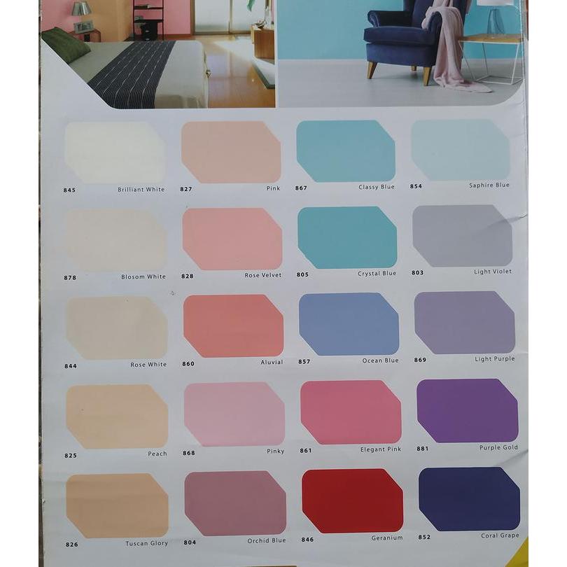 Cat Tembok Interior Envi 5 Kg