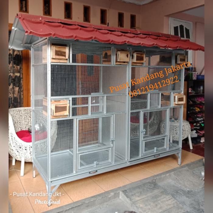 kandang koloni sunconure.nuri
