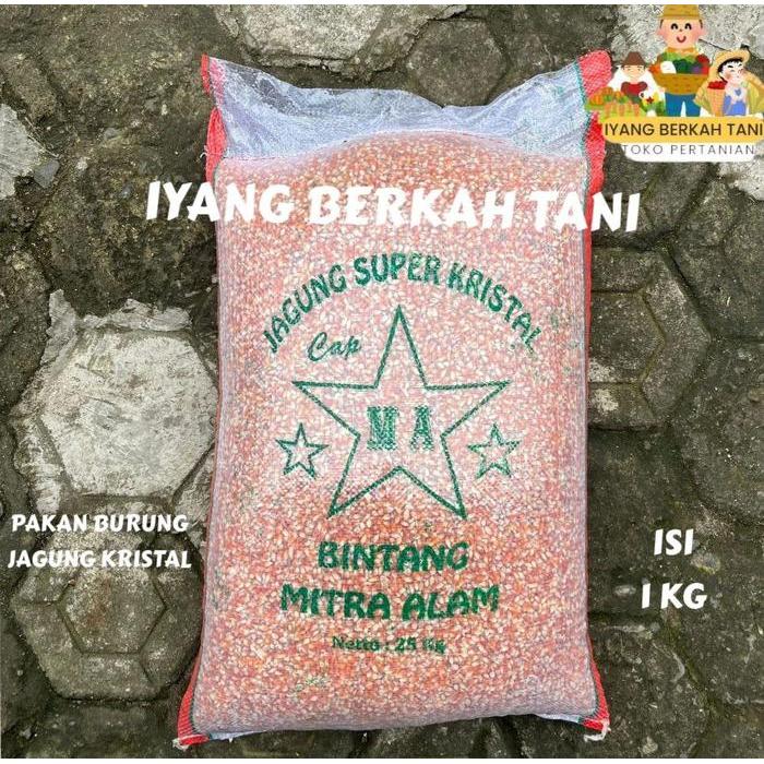 Jagung Kristal 1 Kg Jagung Pakan Merpati Balap Kolong Burung Dara Unggas Ayam Hamster