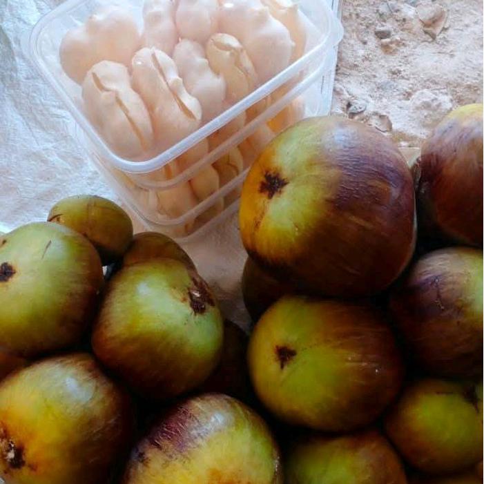 Buah Lontar Fresh Premium Segar - Buah Segar