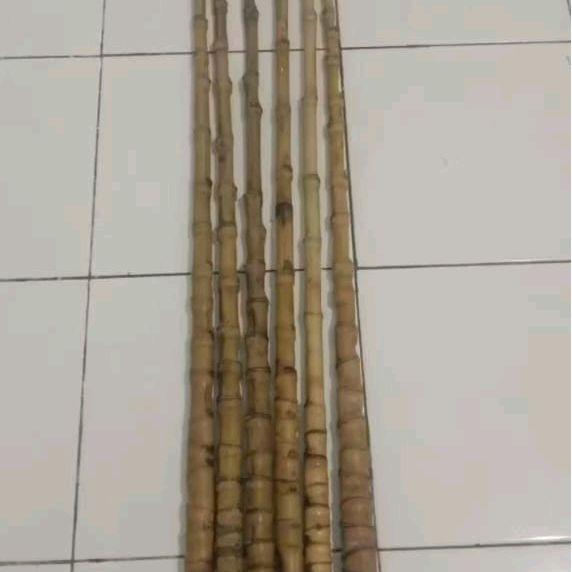 TERLARIS gagang bambu cendani super udah dilurusin