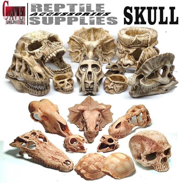 Viva - Tengkorak Buaya Crocodile Hs008 Hiding Cave Skull Skeleton Reptile