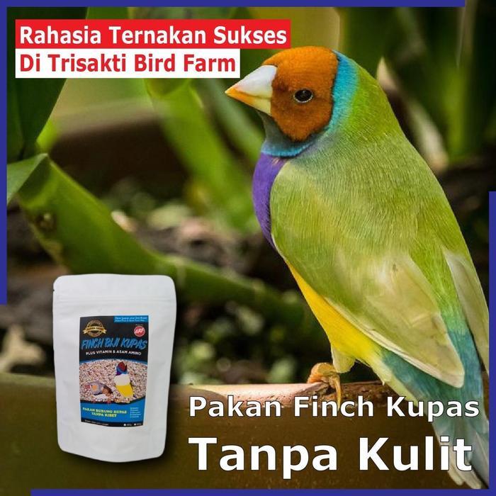 Pakan Burung BijiBijian Kupas untuk Emprit Jepang, Zebra Finch, dan Jenis Finch Lainnya