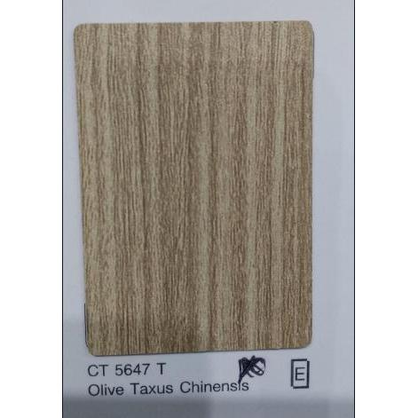 HPL CARTA CT 5647T OLIVE TAXUS CHINENSIS
