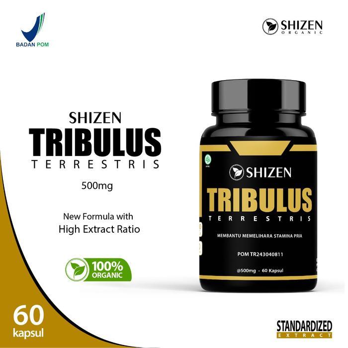 DISKON TRIBULUS TERRESTRIS - TESTOSTERONE BOOSTER 60- MASSA OTOT & VITALITAS