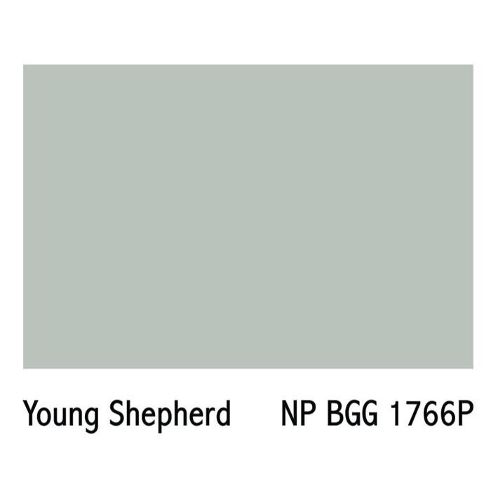 Cat Nippon 25 Kg / 20 L / Chameleon 1798 T / Young Shepherd 1766 P #Gratisongkir
