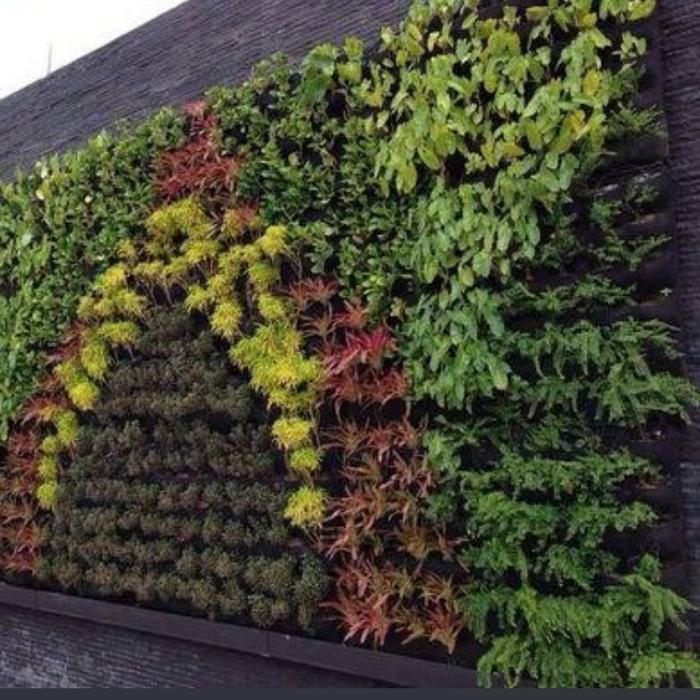 Pot Tempel Dinding / Vertical Vertikal Garden / Bunga / Tanaman / Argo